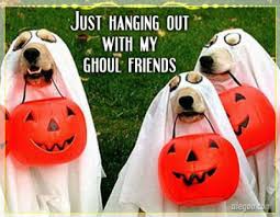 Image result for halloween quotes