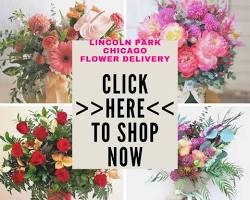 Image of Flower Shoppe in Lincoln Park, Chicago