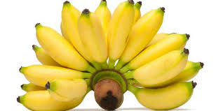 Hasil gambar untuk buah