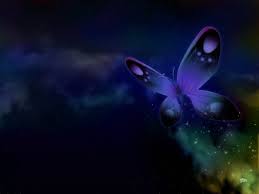 Image result for animated butterflies wallpaper