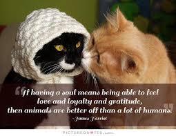 James Herriot Quotes &amp; Sayings (12 Quotations) via Relatably.com