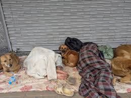 Hình ảnh miễn phí: Người vô gia cư trên đường phố, một người ...