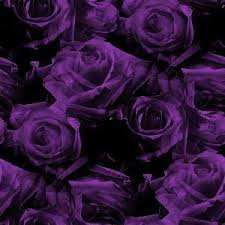 Image result for dark purple flower