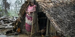 OCHA - News update