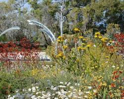 Immagine di Kings Park and Botanic Garden, Perth
