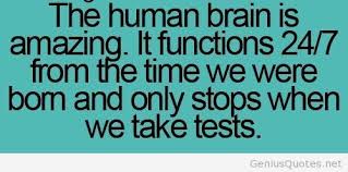 The-human-brain-is-amazing-tumblr.jpg via Relatably.com