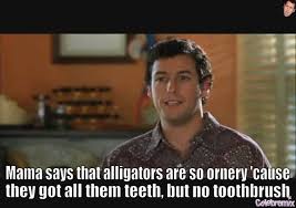 adam sandler quotes - Google Search | funny stuff | Pinterest ... via Relatably.com