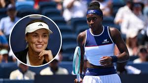 Tennishead - News update