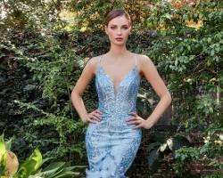 Prom dress with feathers