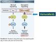 GRACE cast-084Lung-CancerALK Inhibition: Science and Early