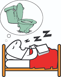 Image result for toilet dream