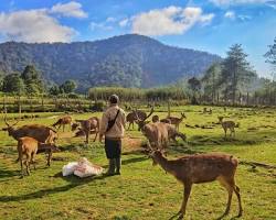 Image of Foto Ega di Ranca Upas