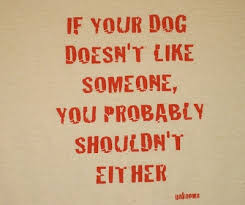 Image result for dog quotes