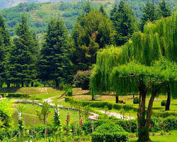 Image of Nehru Botanical Garden, Rumtek