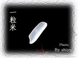 「一粒米」的圖片搜尋結果