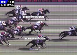 JRA日本中央競馬会