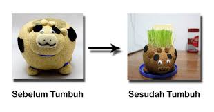 Rumput akan tumbuh kembali lho setelah dipangkas.. ^_^. Boneka Horta tersedia dengan berbagai bentuk juga lho seperti contoh di bawah ini… - example1