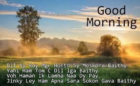 Good Morning love quotes in Hindi - Hindi Love Quotes via Relatably.com