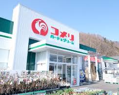 コメリ 店舗の画像