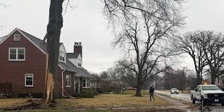 Lightning Strikes Tree, Damages Davenport Home