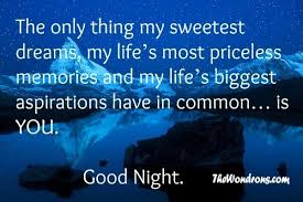 Beautiful Good Night Love Quotes - beautiful good night love ... via Relatably.com