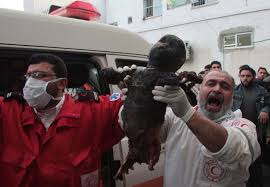 Image result for gaza jpg dead children