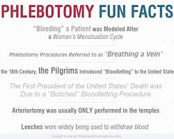 Ancient Egyptian Phlebotomy