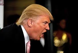 Image result for pictures of donald trump