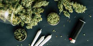 Teens who use cannabis face increased risk of developing psychotic disorders - 1