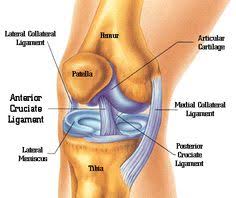 Knee to toe on Pinterest | Knee Pain, 120 Lbs and Physical Therapy via Relatably.com