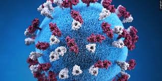 Measles Alert: Second Case Confirmed in Florida County! What You Need To Know - Imagen ilustrativa del artículo