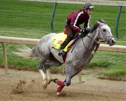 Image result for kentucky derby images 2016 ago