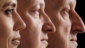 News source: ScienceAlert