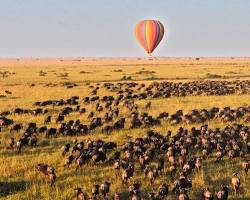 Image of Hot air balloon ride over Masai Mara