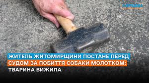 Перший Житомирський - News update