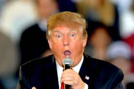 Image result for trump