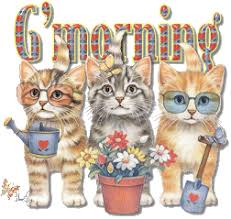 images?q=tbn:ANd9GcS8EgqIoR_LDpKrBhHJ0Ft2r55ehjL0Ff7LDS6xRA2IYKhW8Cqi