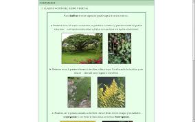 Resultado de imagen para clasificacion de las plantas