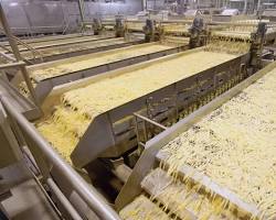Lamb Weston french fries quality potato processing（AI 生成）