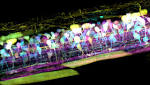  New Microscope Captures Detailed 3-D Movies of Cells Deep Within Living Systems