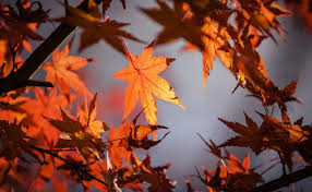 Equinoccio De Otoño