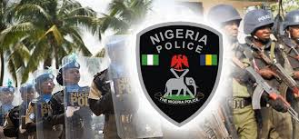 Image result for nigerian police pictures