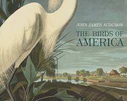 Image of Birds of America by John James Audubon