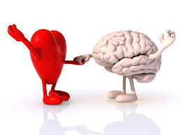 Resultado de imagen de corazon y cerebro