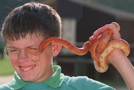 Photograph by Richard Hudd. Mark Gordon-Brander gets a closer look at a snake than he&#39;d bargained for at Sleepy Hollow Farm Park - http___www.holdthefrontpage.co.uk_images_Snakes