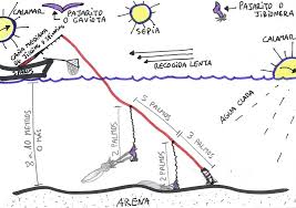 Resultado de imagen de la pesca de la sepia como s pesca