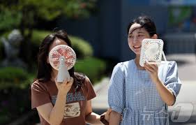 뉴스1 - News update