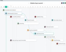 Asana project management software
