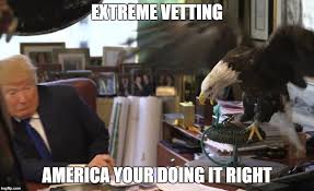 Image result for vetting meme