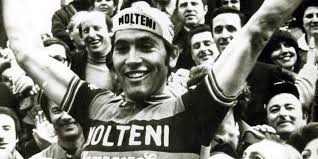 Trend Google: eddy merckx
